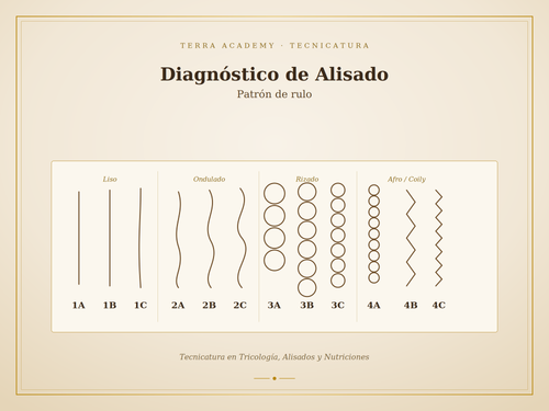Formación en Alisados y Nutriciones con Tricología Aplicada - programa con certificación